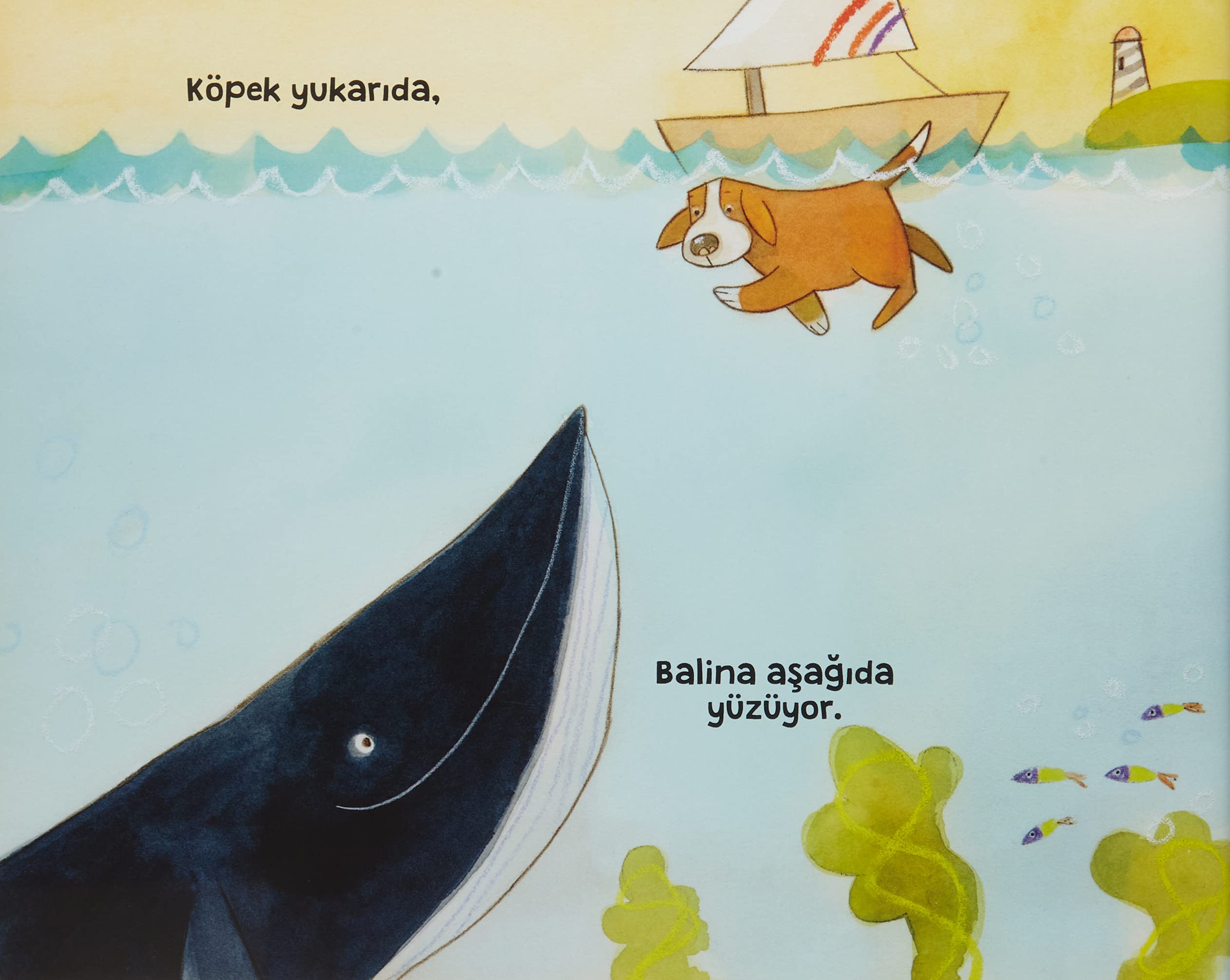 Dalgiç Köpek