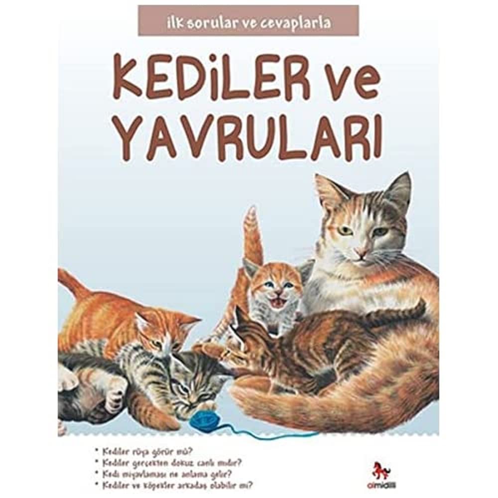 Kediler ve Yavruları: İlk Sorular ve Cevaplarla