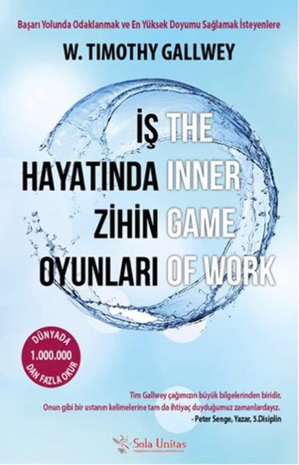 İş Hayatında Zihin Oyunları: Başarı Yolunda Odaklanmak ve En Yüksek Doyumu Sağlamak İsteyenlere