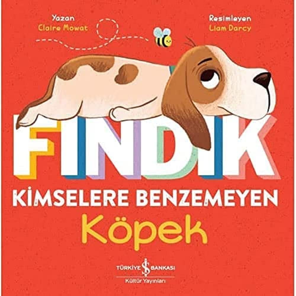 Fındık - Kimselere Benzemeyen Köpek