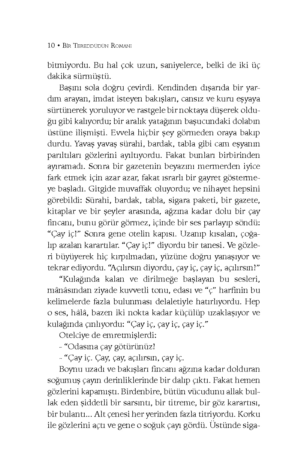 Bir Tereddüdün Romanı