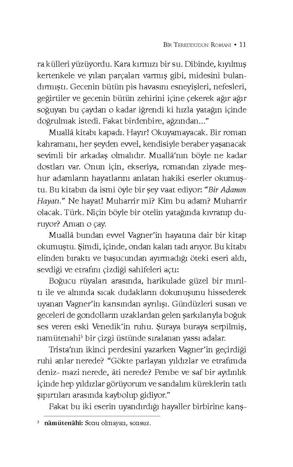 Bir Tereddüdün Romanı