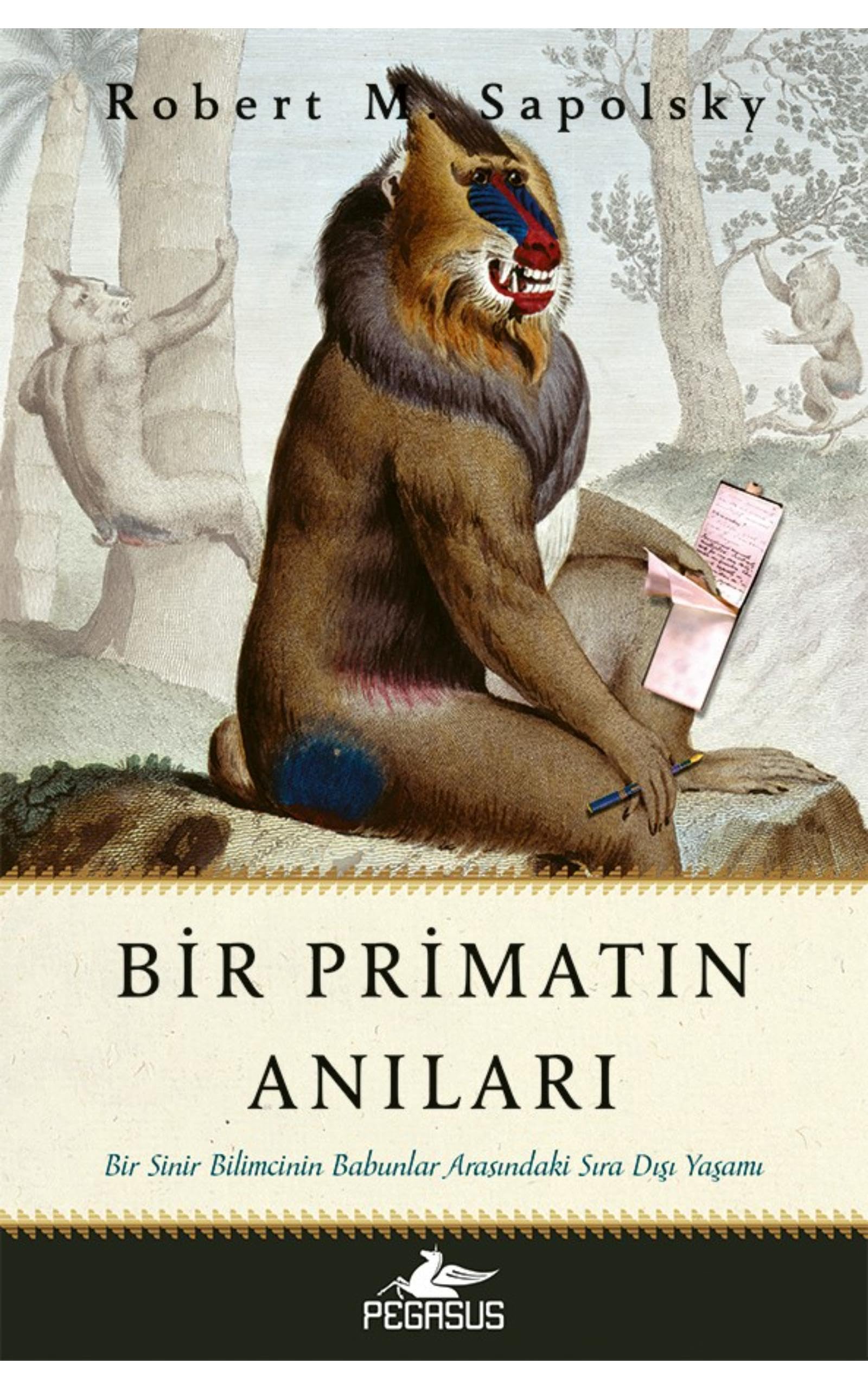 Bir Primatın Anıları: Bir Sinir Bilimcinin Babunlar Arasındaki Sıra Dışı Yaşamı