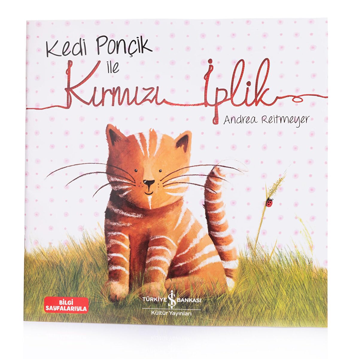 KEDİ PONÇİK İLE KIRMIZI İPLİK 2. BASKI