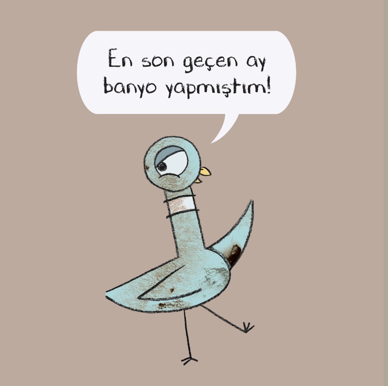 Güvercin Banyo Yapsın!