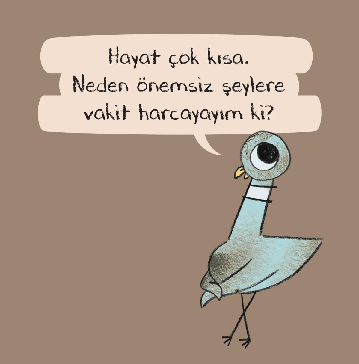Güvercin Banyo Yapsın!
