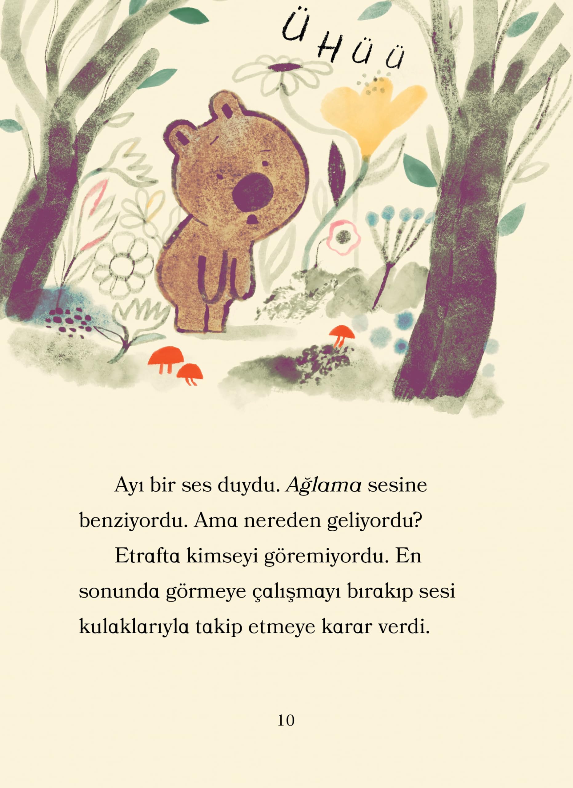 Ayı ile Kuş - Piknik ve Diğer Öyküler