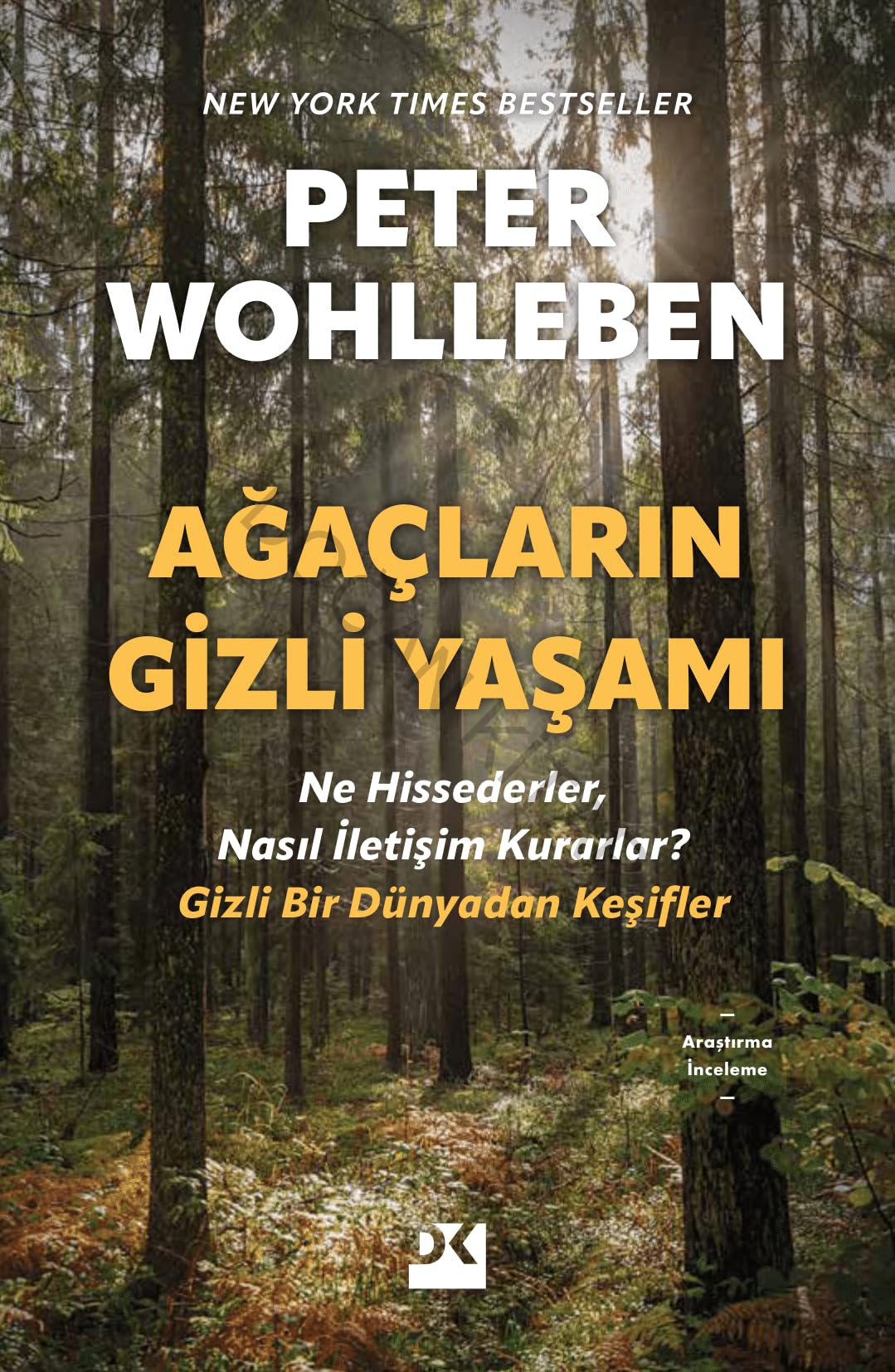 Ağaçların Gizli Yaşamı: Ne Hissederler, Nasıl İletişim Kurarlar – Gizli Bir Dünyadan Keşifler