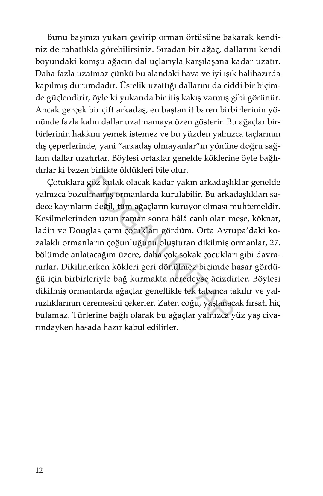 Ağaçların Gizli Yaşamı: Ne Hissederler, Nasıl İletişim Kurarlar – Gizli Bir Dünyadan Keşifler