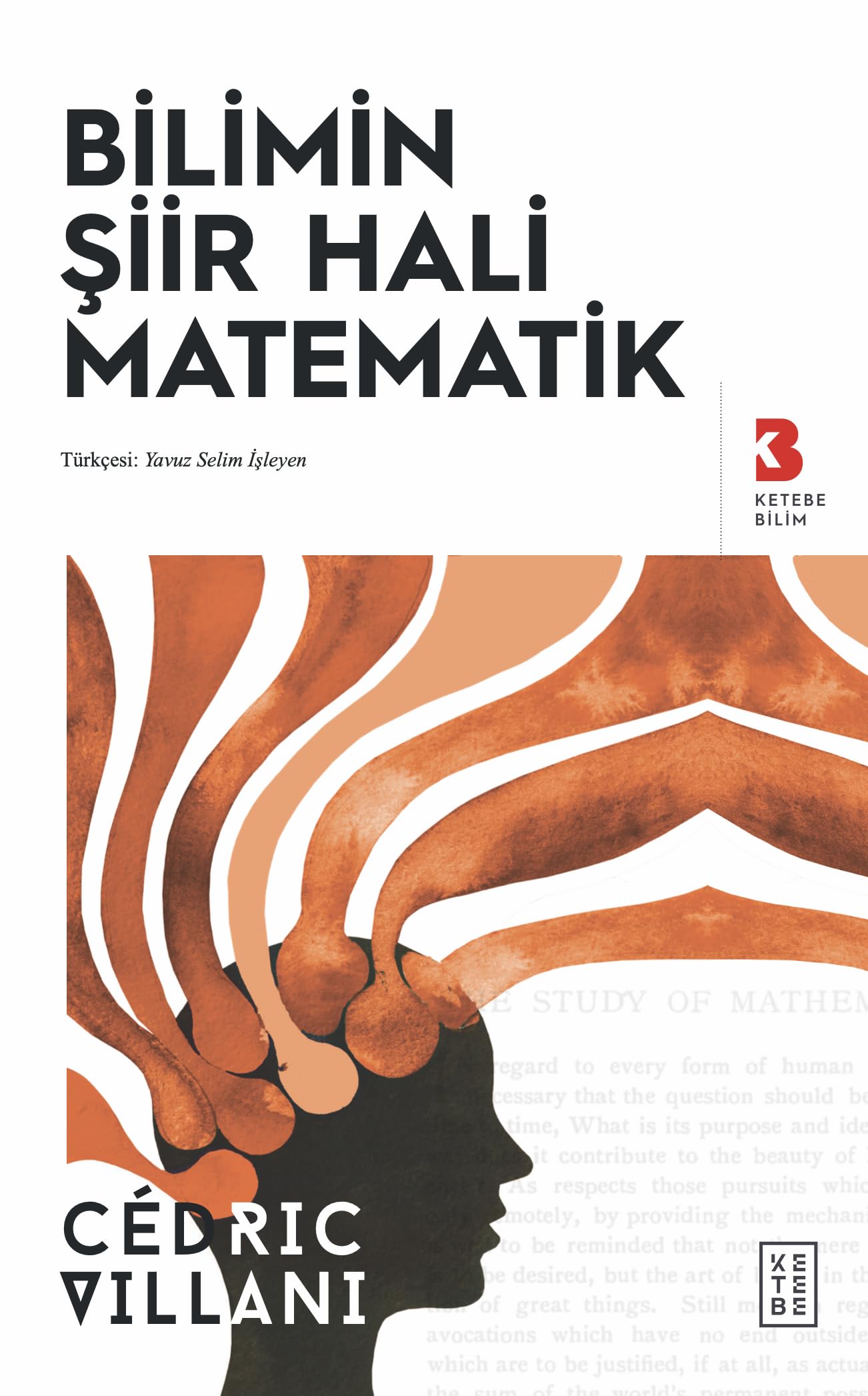 Bilimin Şiir Hali Matematik