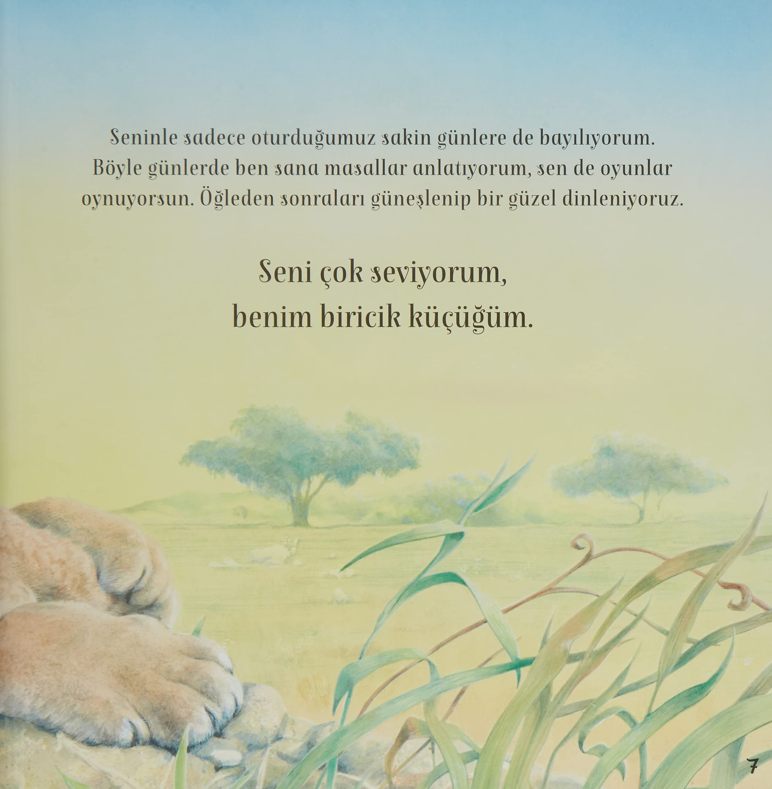 Seni Seviyorum Miniğim
