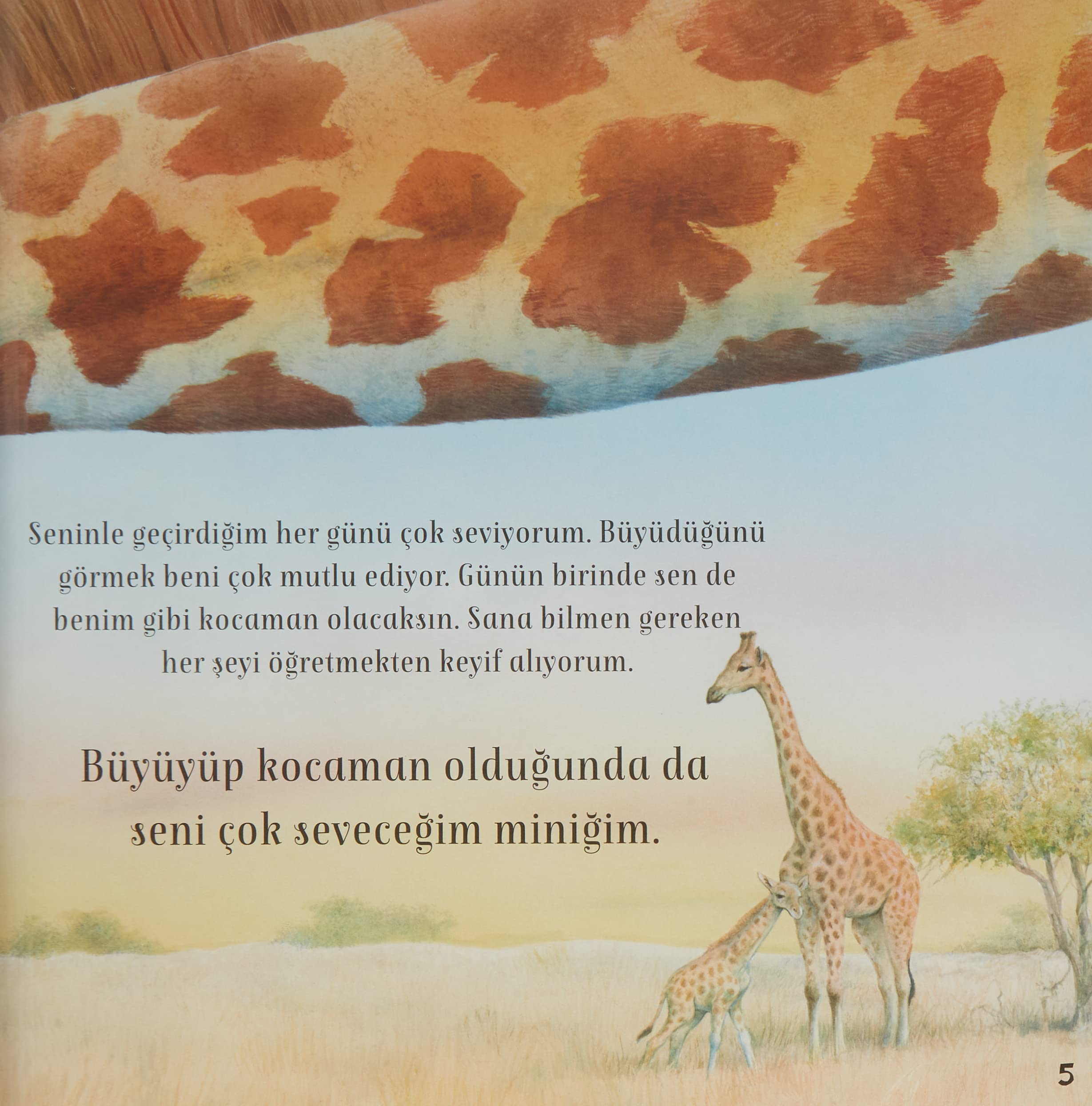 Seni Seviyorum Miniğim