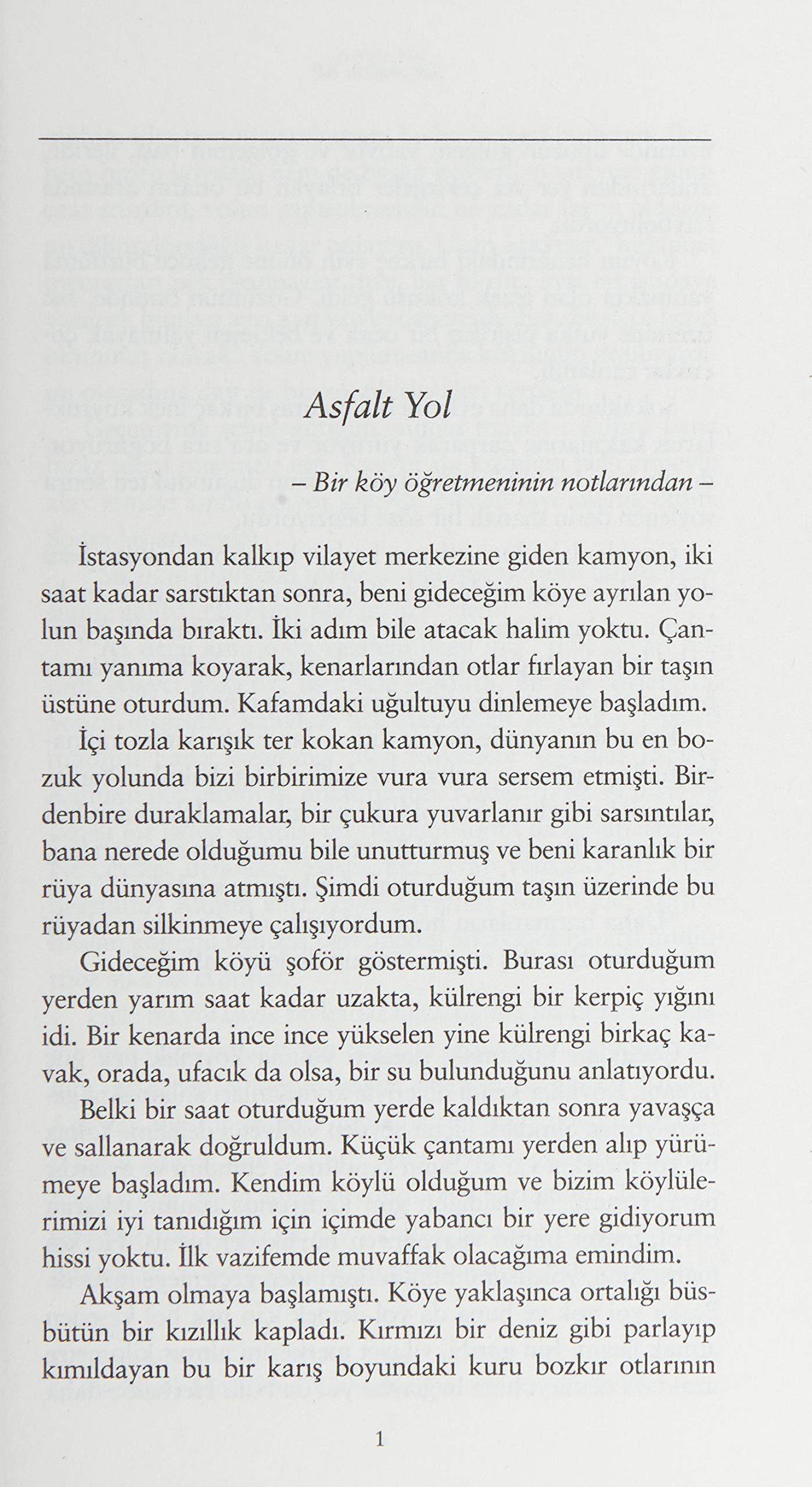 Yeni Dünya: Türk Edebiyatı Klasikleri-36