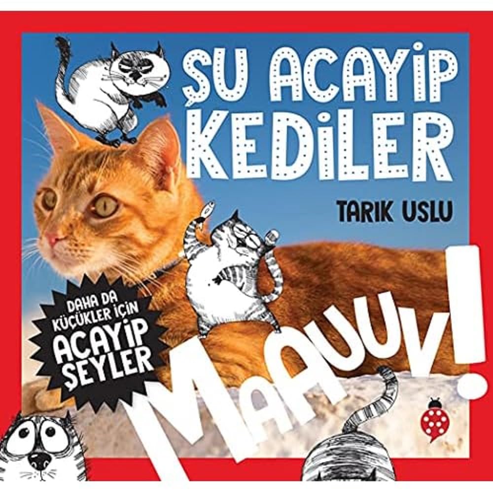 Daha da Küçükler İçin Şu Acayip Kediler: Daha da Küçükler İçin Acayip Şeyler - 1