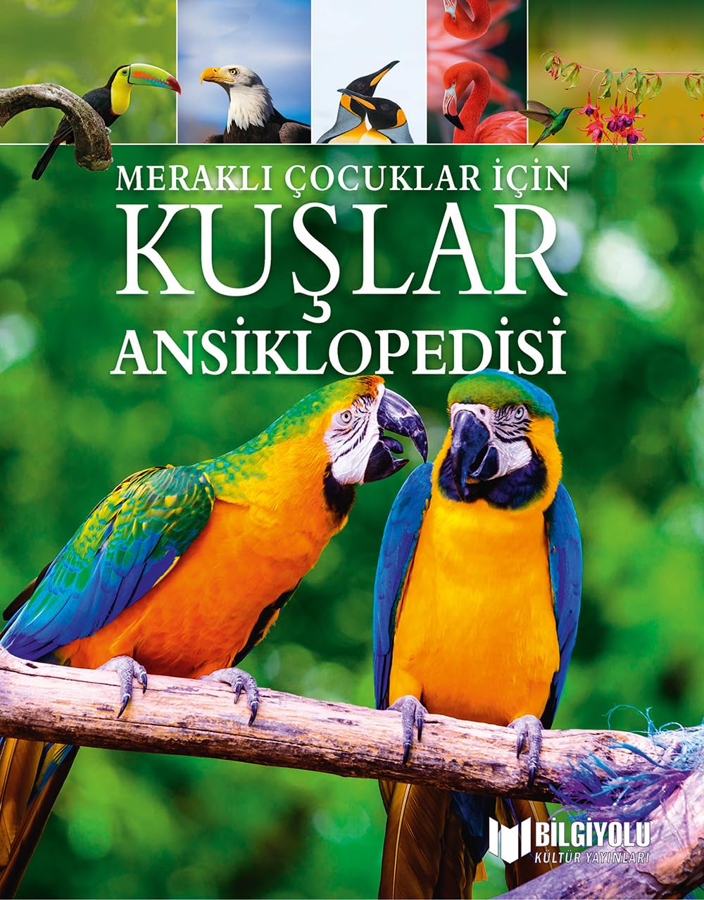 Kuşlar Ansiklopedisi-Meraklı Çocuklar İçin