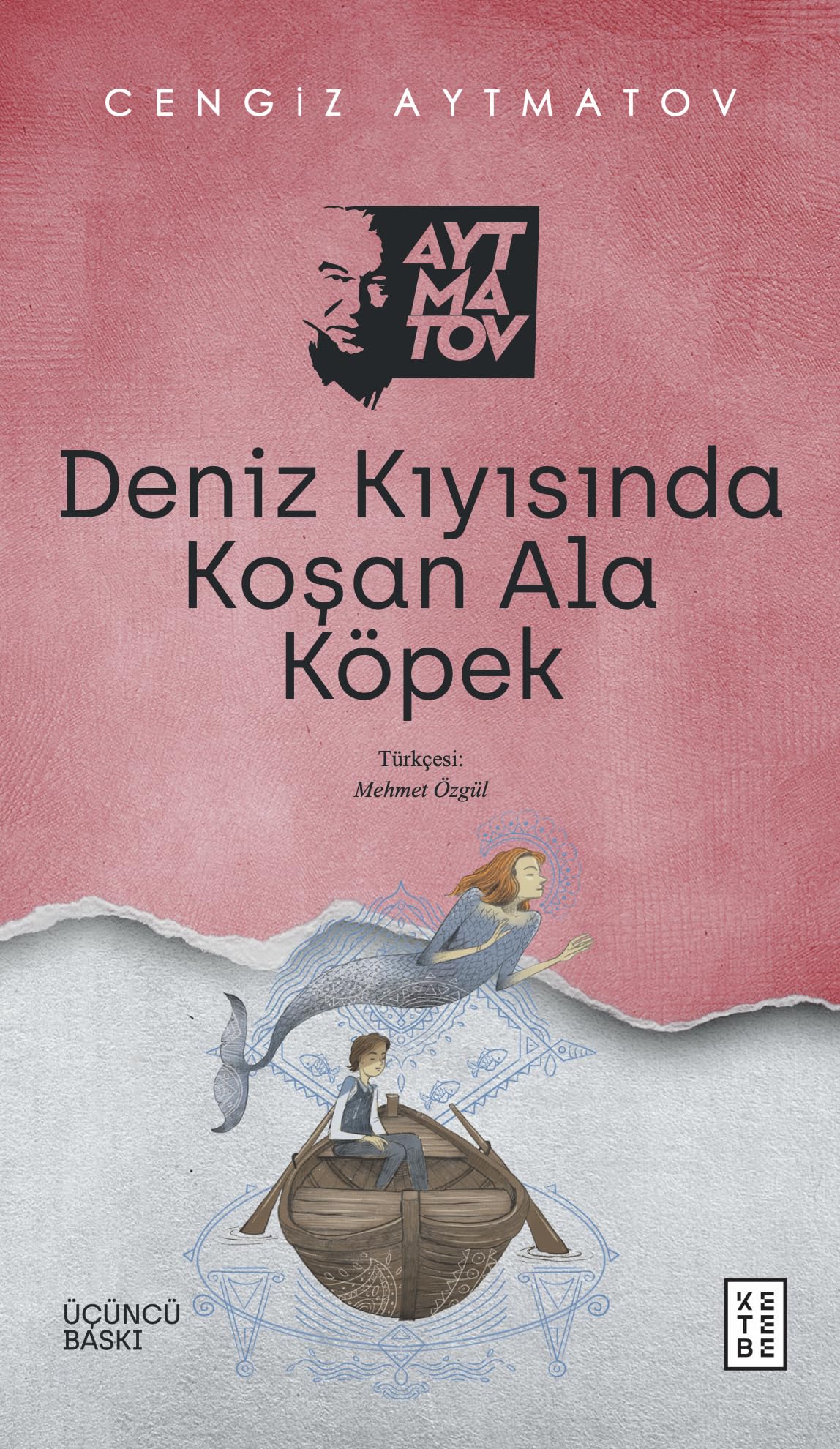 Deniz Kıyısında Koşan Ala Köpek