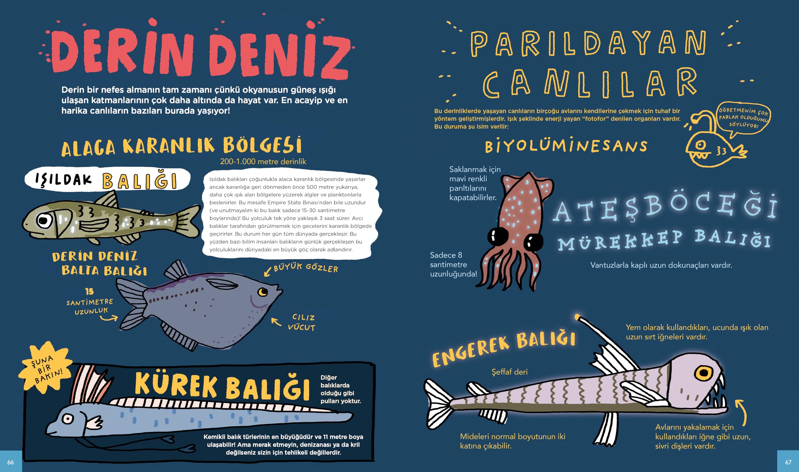 Köpek Balıkları ve Diğer Su Altı Canlıları Hakkında Muhteşem Ötesi Bilgiler!