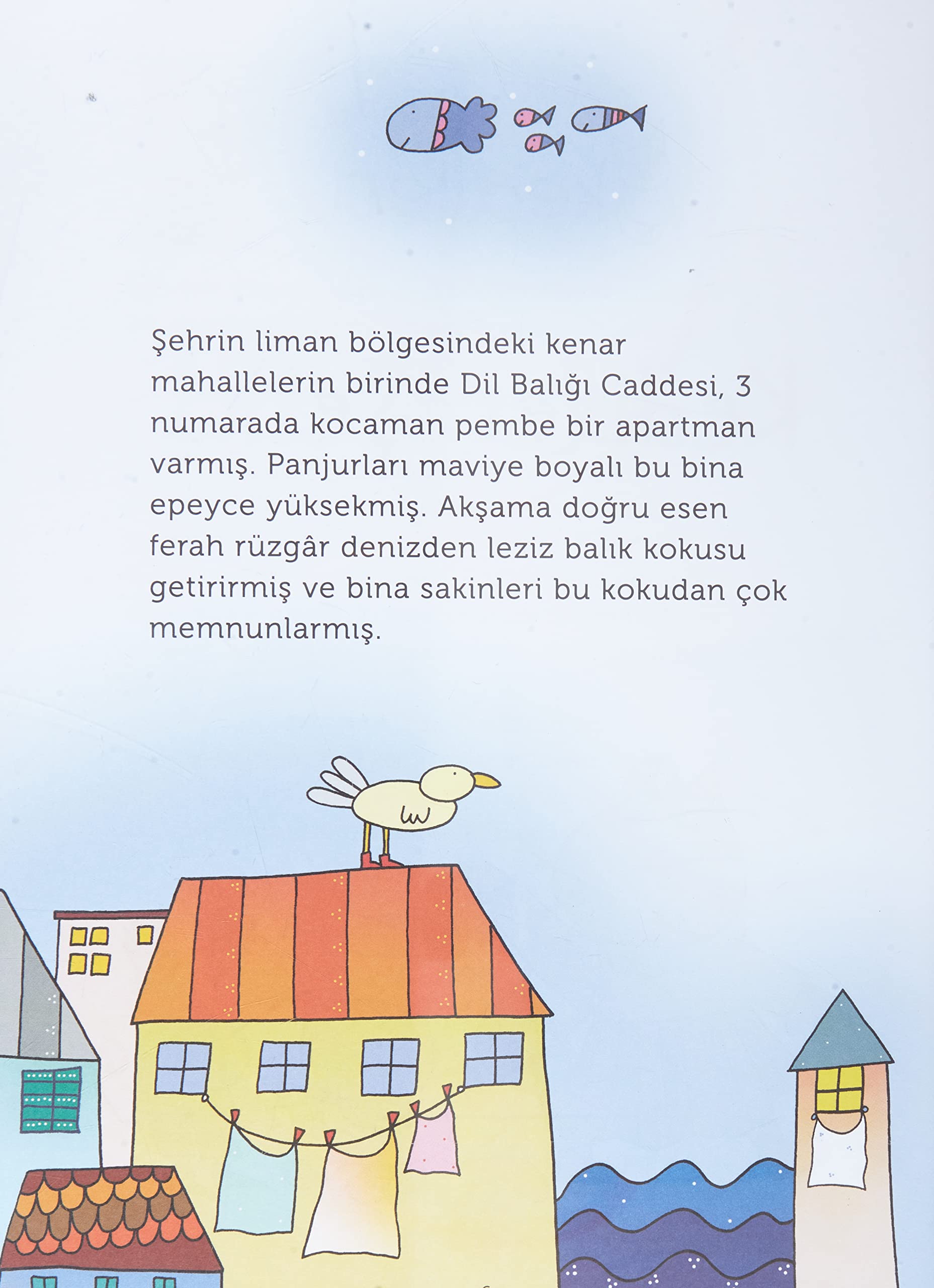 Kediler Şehri