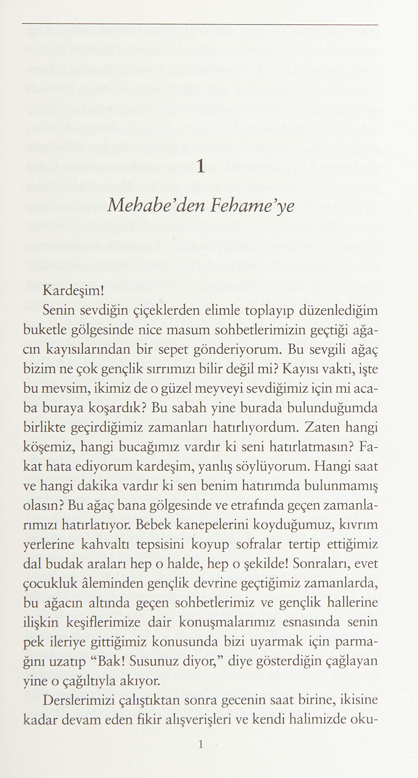 Levayih-i Hayat - Hayattan Sahneler: Türk Edebiyatı Klasikleri 30 - Günümüz Türkçesiyle