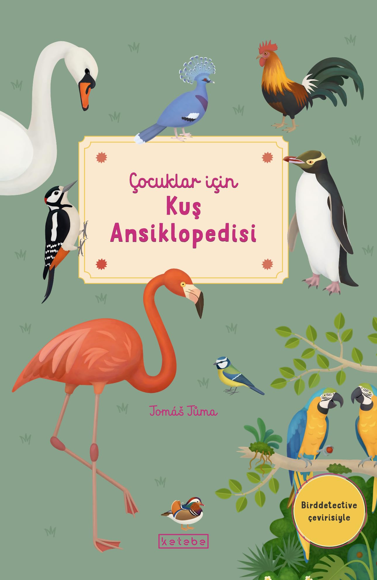 Çocuklar İçin Kuş Ansiklopedisi