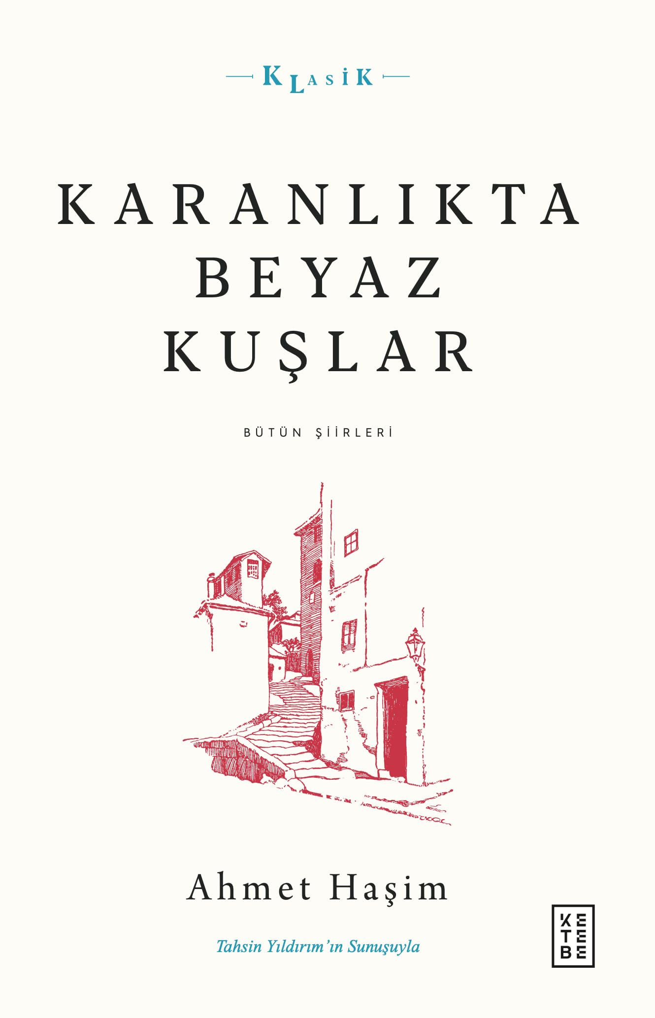 Karanlıkta Beyaz Kuşlar: Bütün Şiirleri