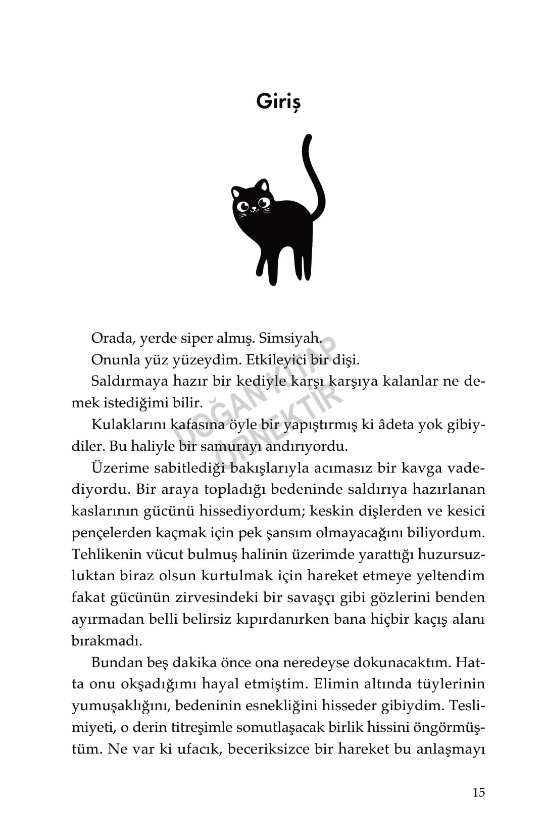 Kedi Psikolojisi