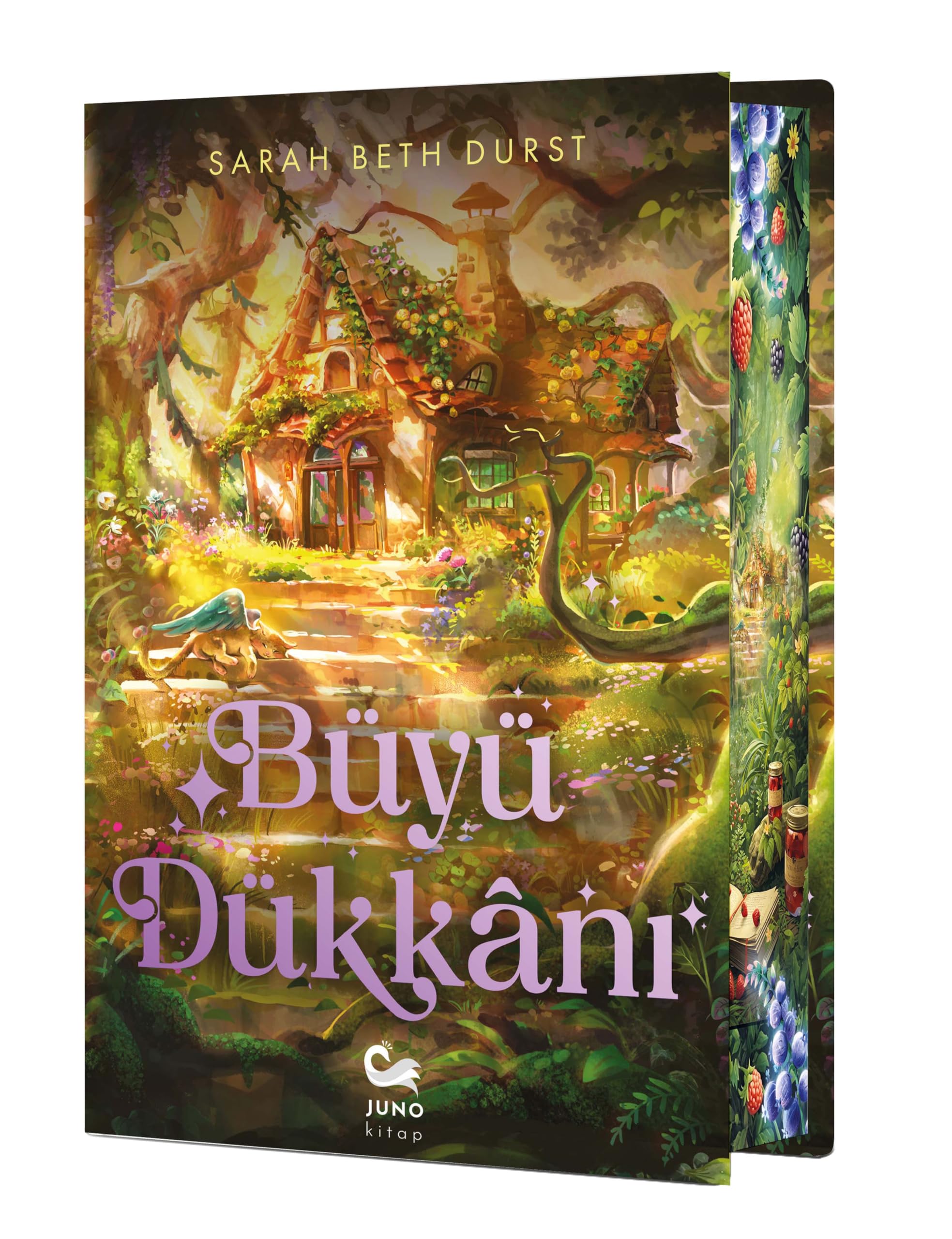 Büyü Dükkanı (Ciltli - Yan Boyamalı)