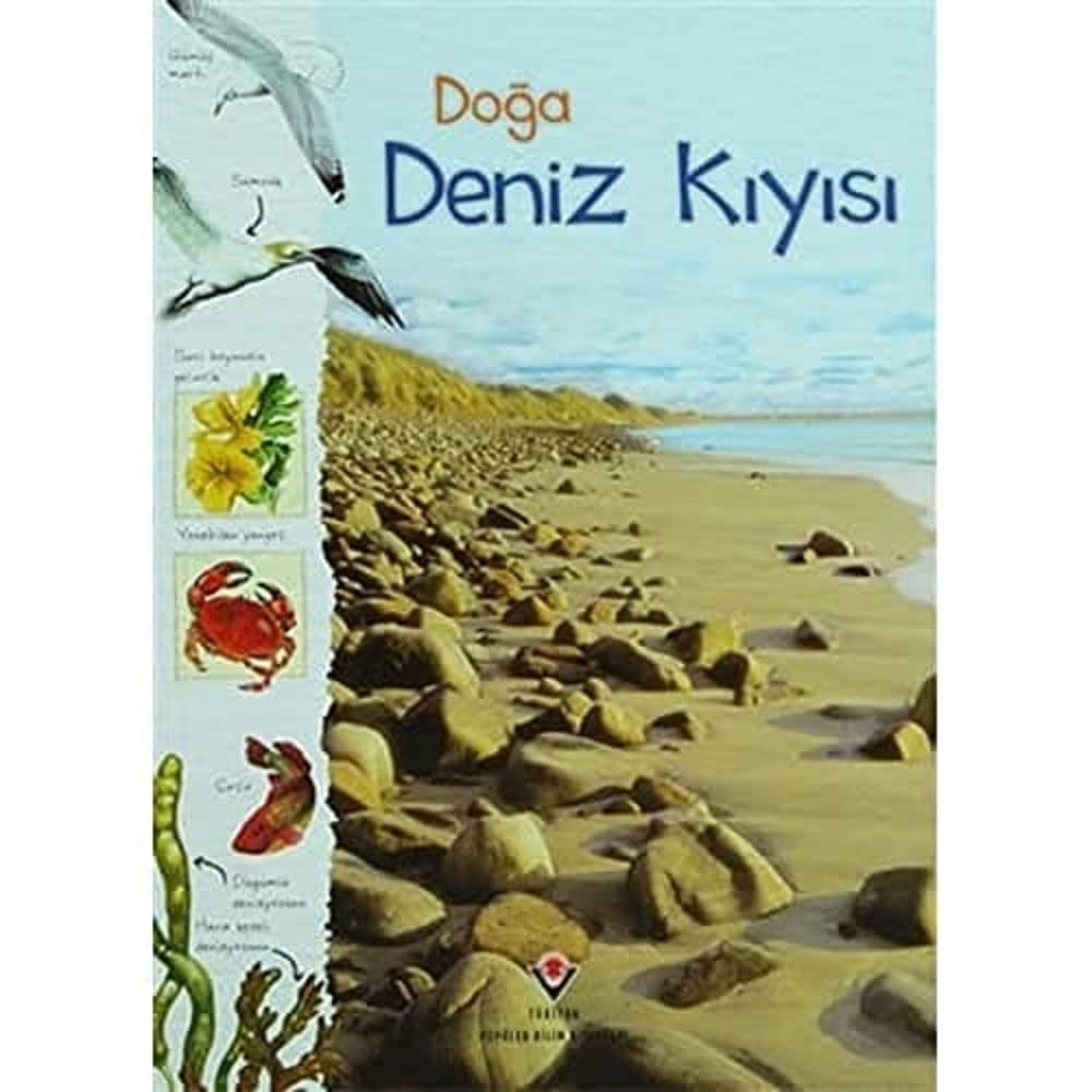 DOĞA DENİZ KIYISI