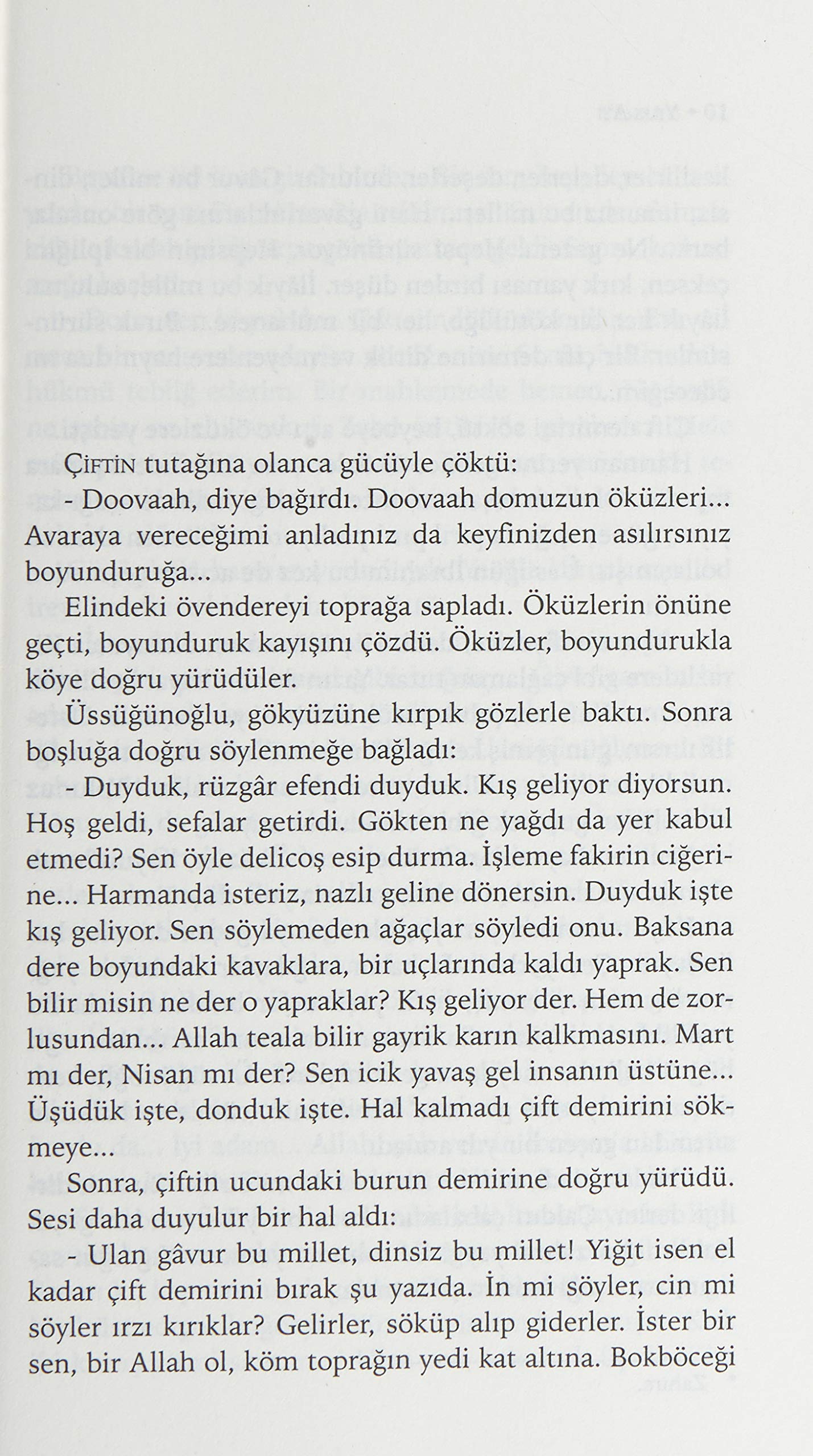Yılkı Atı