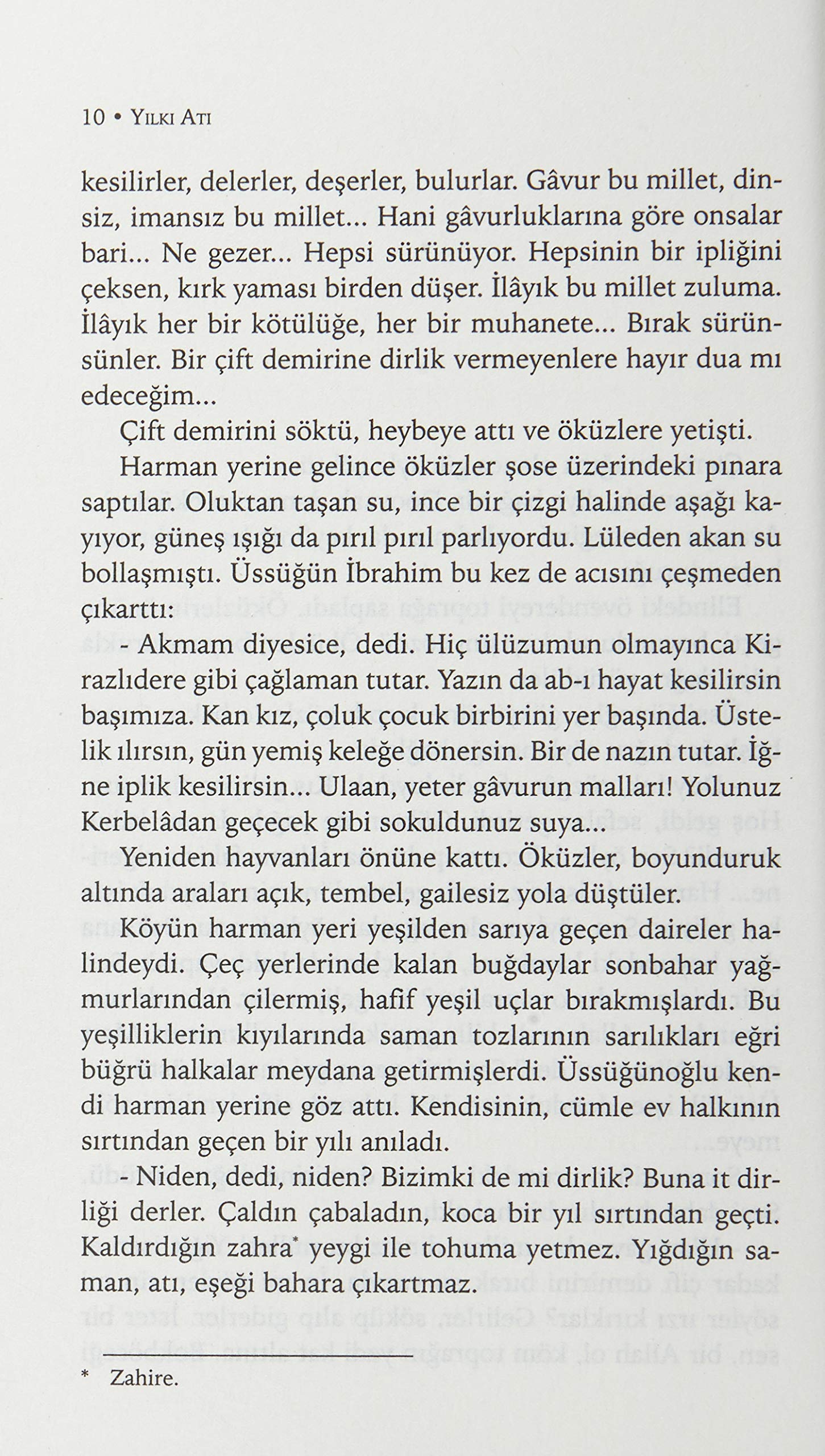 Yılkı Atı