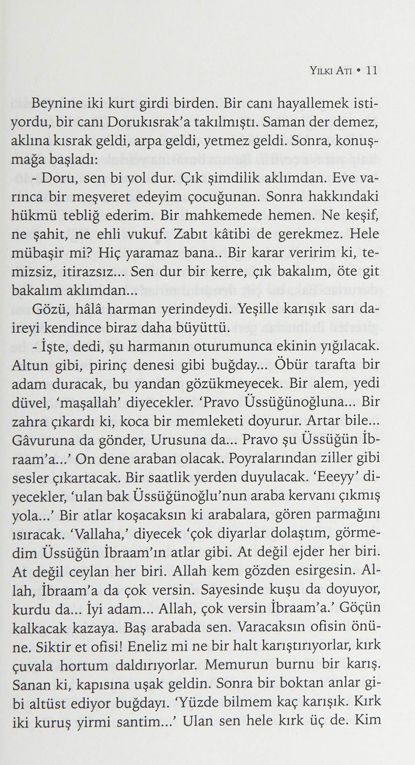 Yılkı Atı