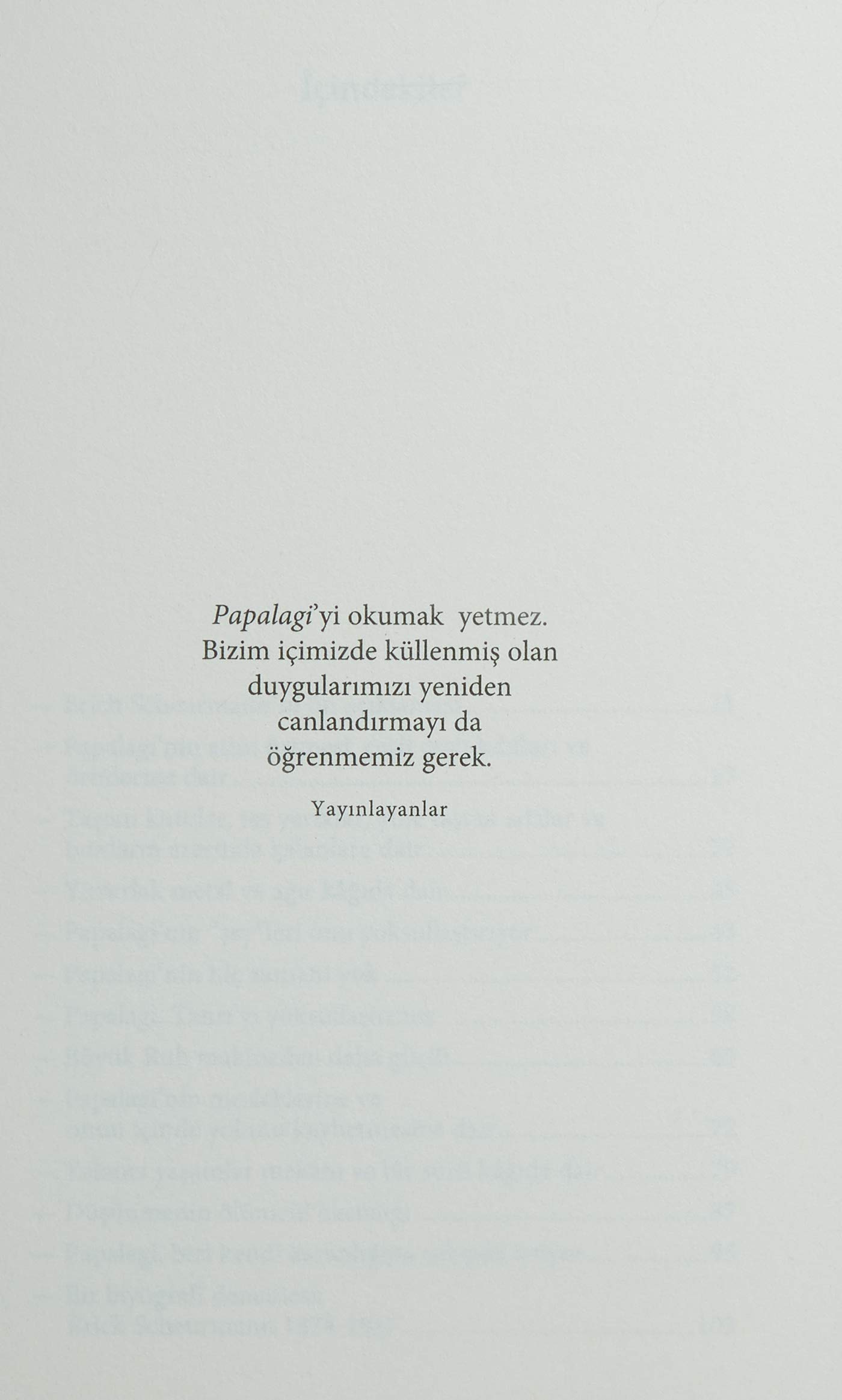 Göğü Delen Adam