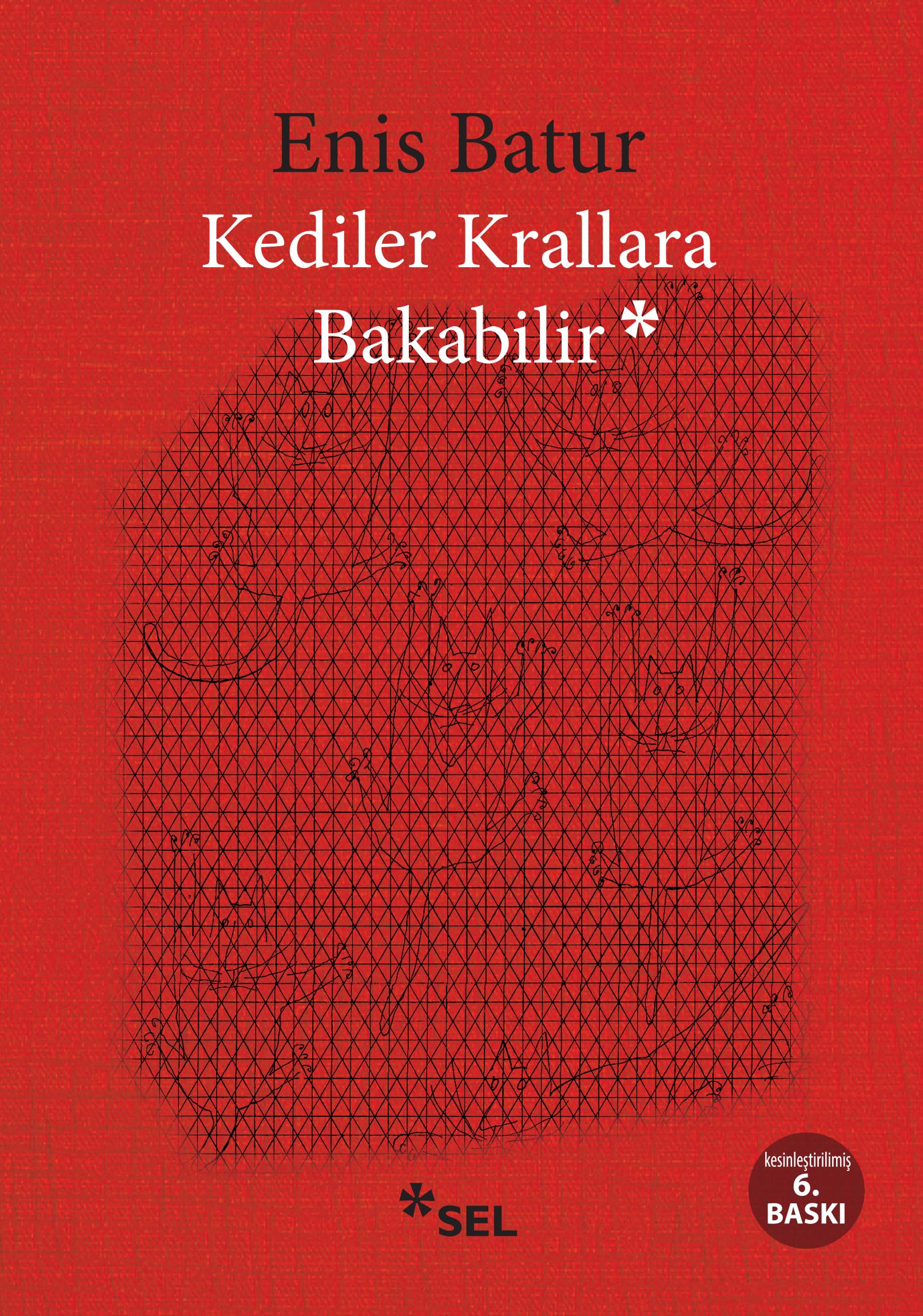 KEDİLER KRALLARA BAKABİLİR