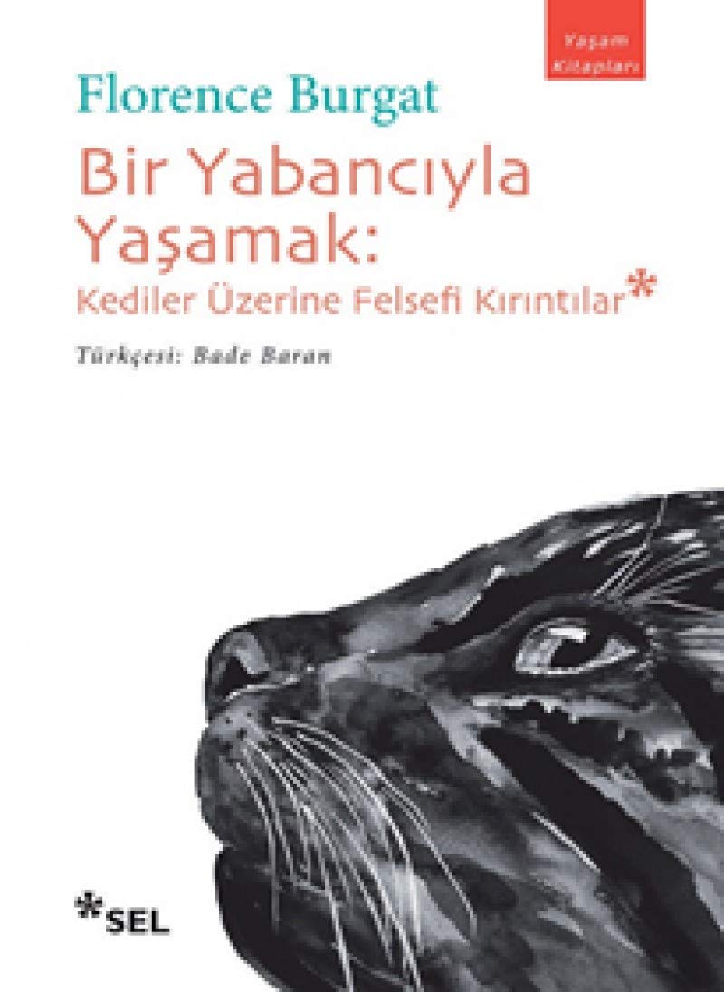 Bir Yabancıyla Yaşamak: Kediler Üzerine Felsefi Kırıntılar