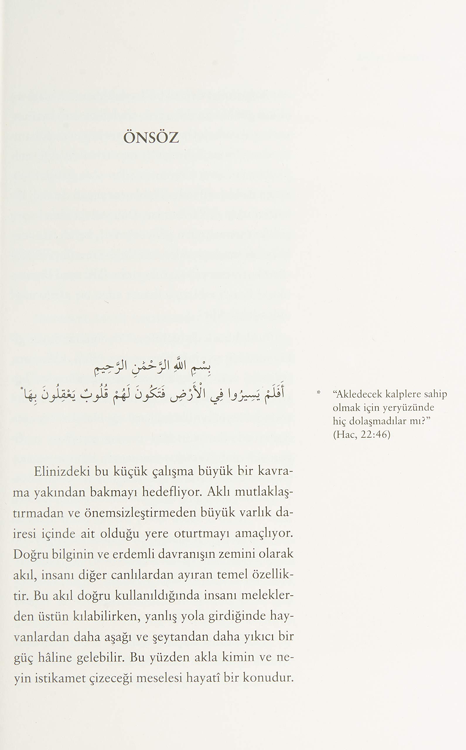 Perde ve Mana: Akıl Üzerine Bir Tahlil
