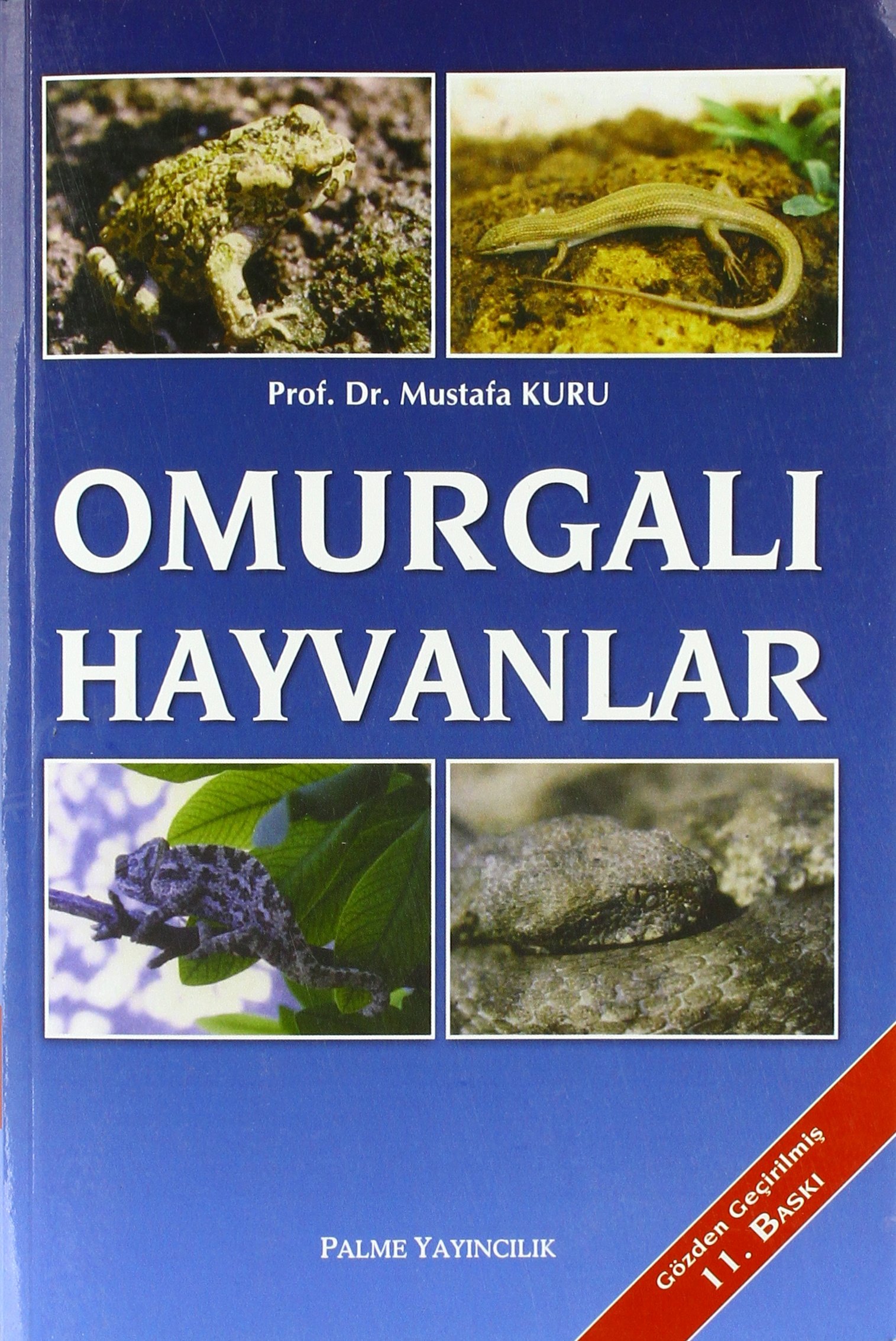 Omurgalı Hayvanlar
