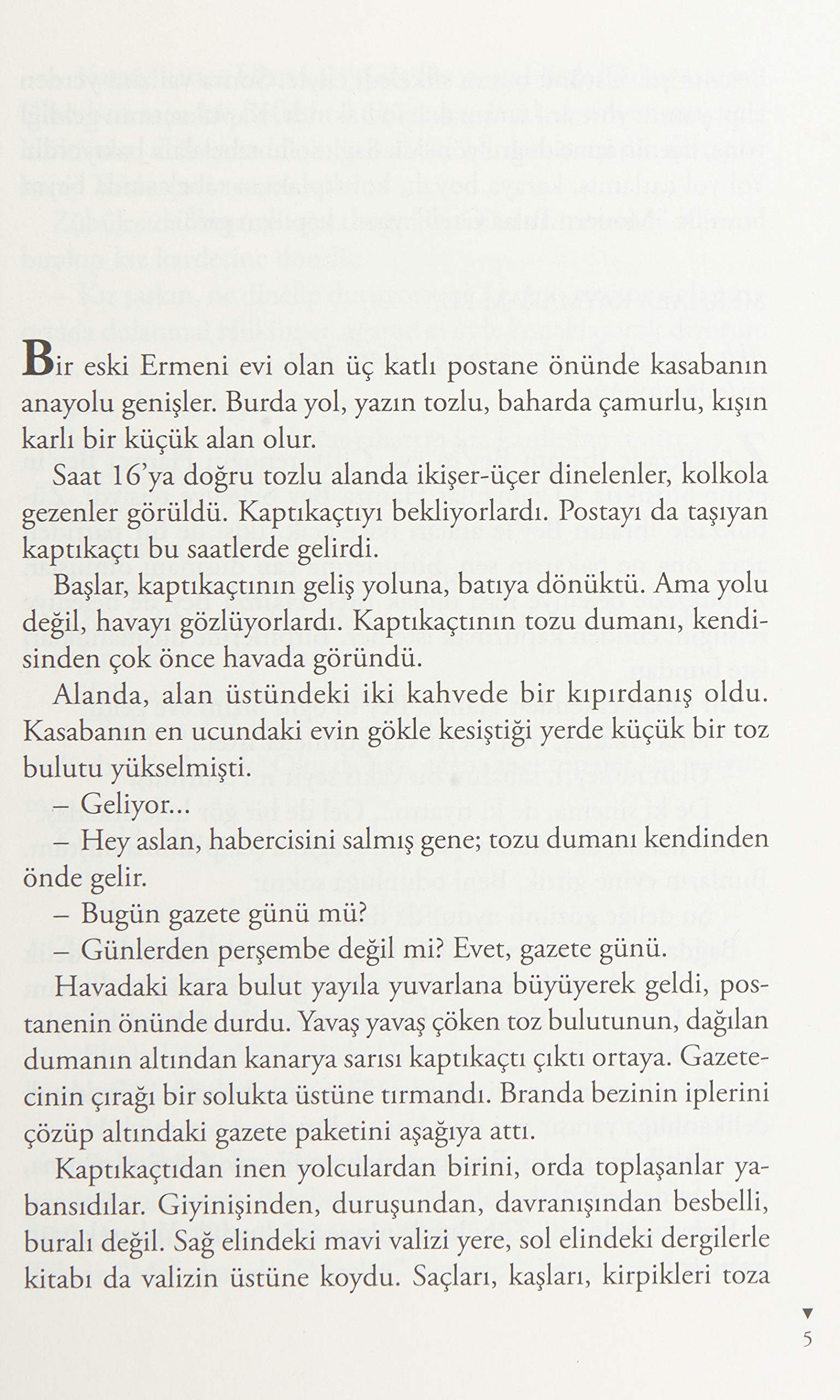 Zübük: Kağnı Gölgesindeki İt