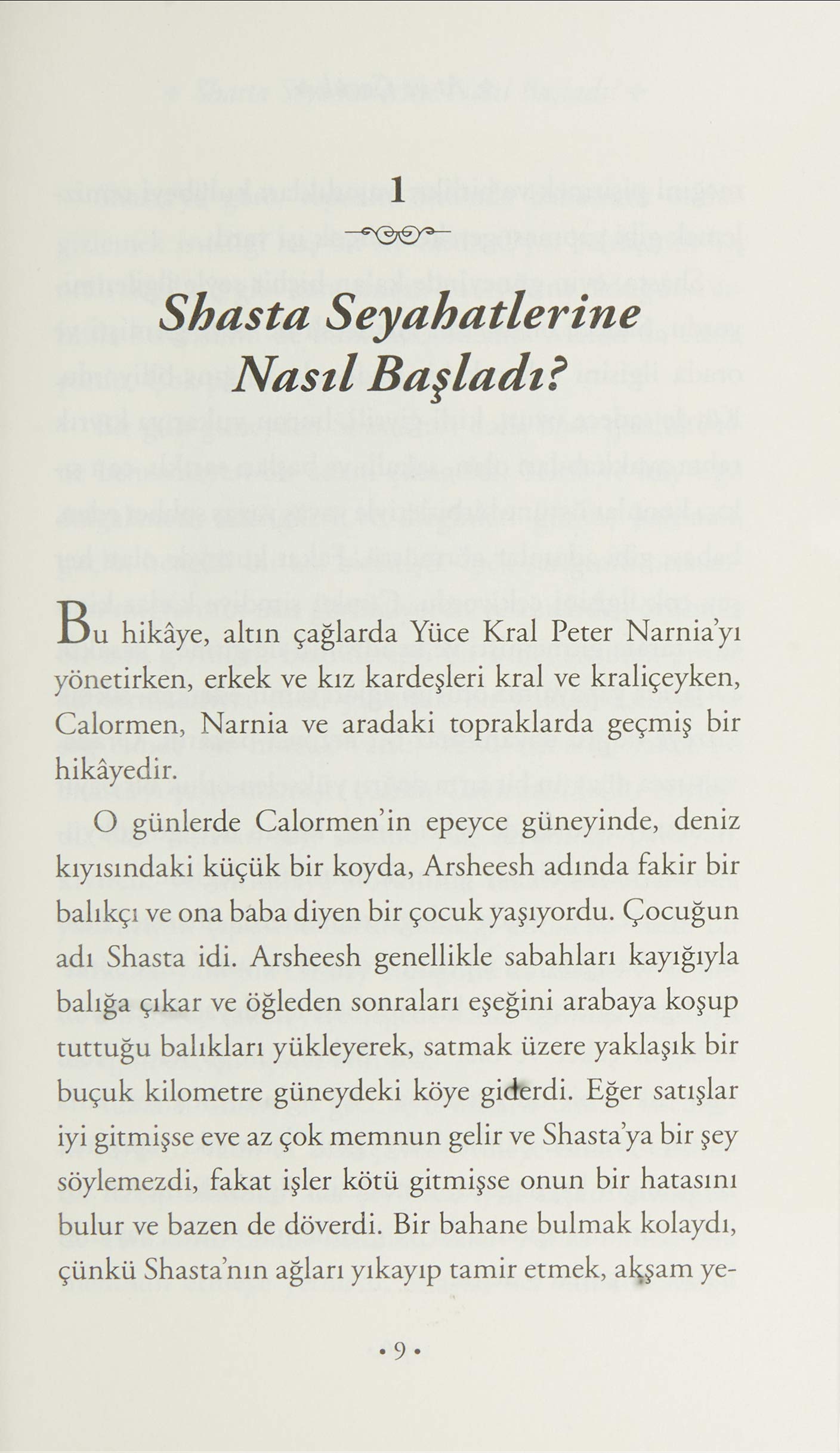 Narnia Günlükleri 3 - At ve Çocuk