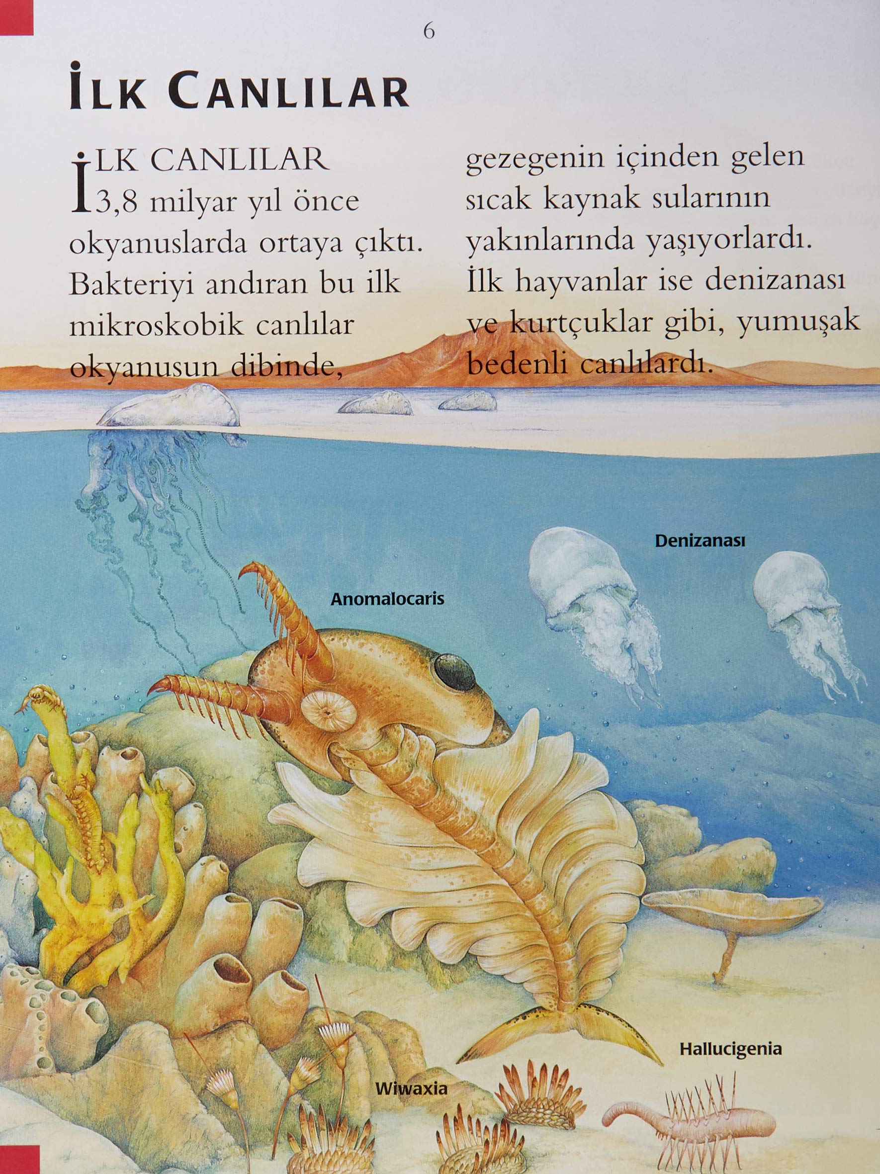 Dinozorlar ve Tarih Öncesi: İlk Bilim Kütüphanem