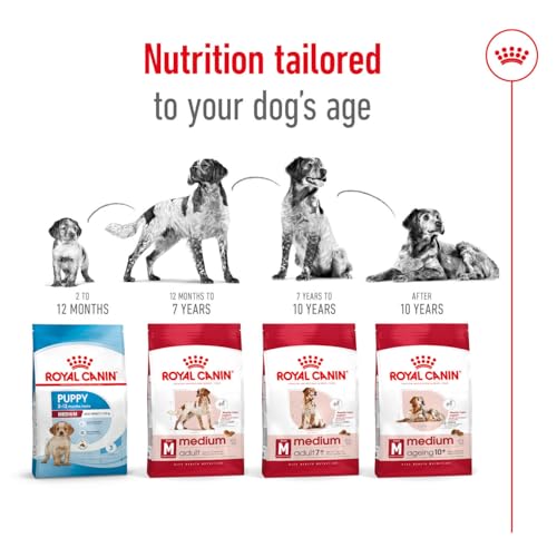 Royal Canin Medium Kuru Köpek Maması, Yetişkin, 15 Kg