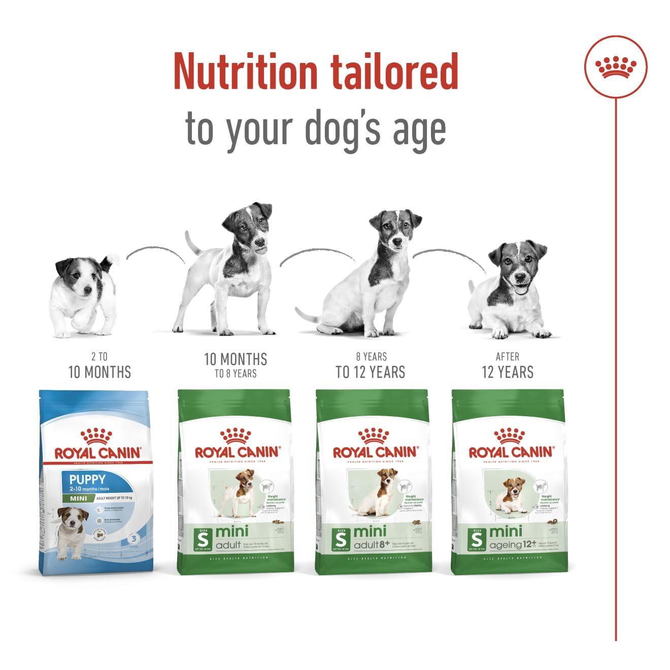 Royal Canin Mini Adult Köpek Maması, 4 Kg