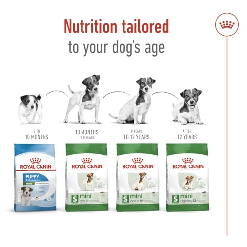 Royal Canin Mini Adult Köpek Maması, 4 Kg