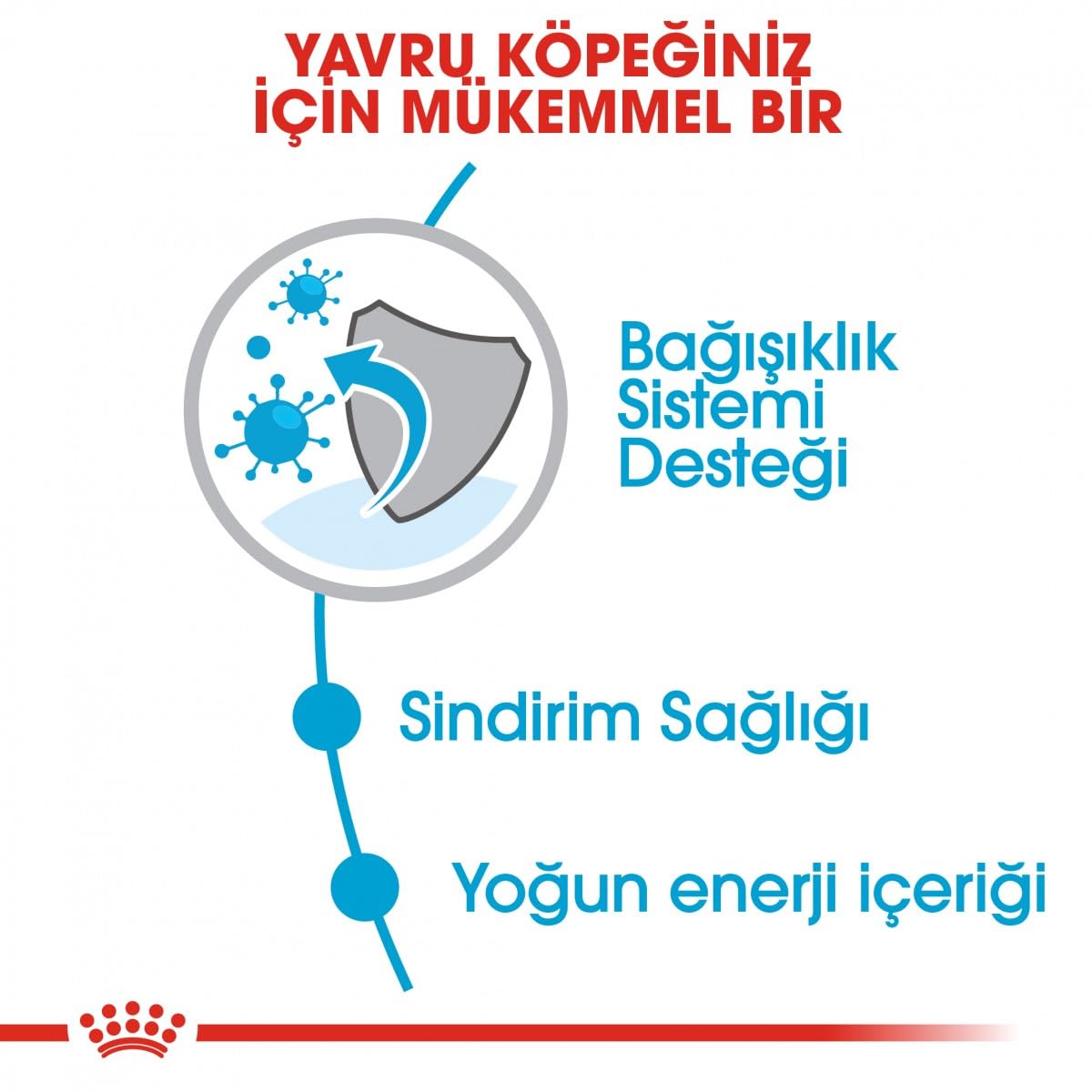 Royal Canin Mini Puppy Kuru Köpek Maması, Yavru Köpek, 4 Kg