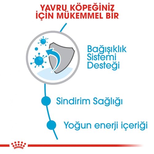 Royal Canin Mini Puppy Kuru Köpek Maması, Yavru Köpek, 4 Kg