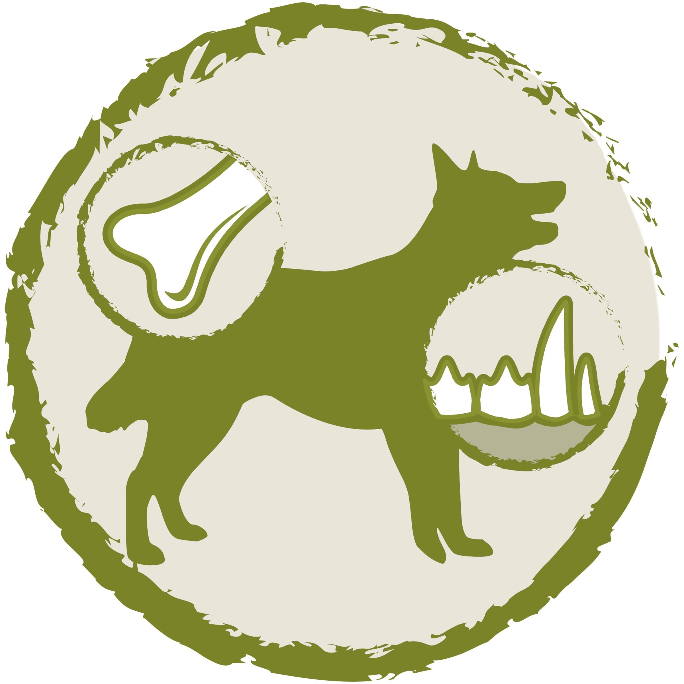 Dog Chow-Yetişkin Kuzu Etli Köpek Maması 14 Kg