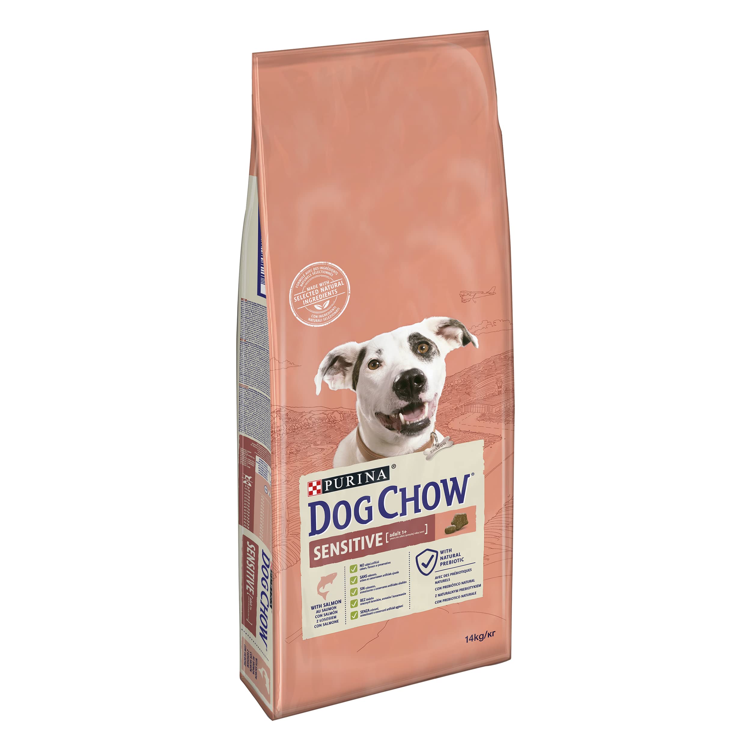 Dog Chow-Purina Somon Balıklı Yetişkin Köpek Maması 14 kg