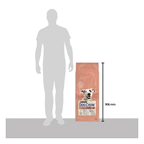 Dog Chow-Purina Somon Balıklı Yetişkin Köpek Maması 14 kg