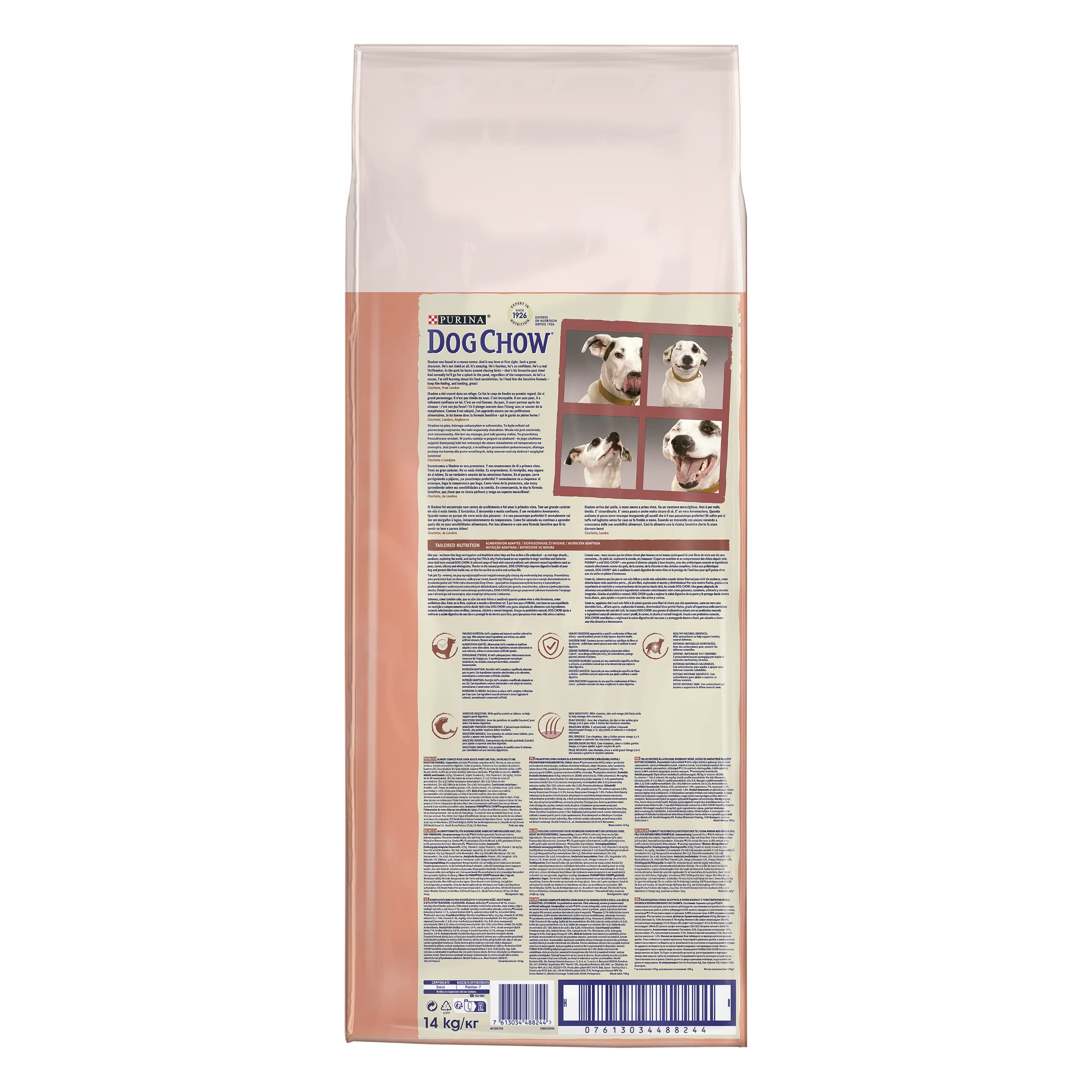 Dog Chow-Purina Somon Balıklı Yetişkin Köpek Maması 14 kg