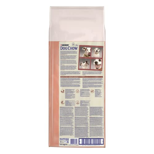 Dog Chow-Purina Somon Balıklı Yetişkin Köpek Maması 14 kg