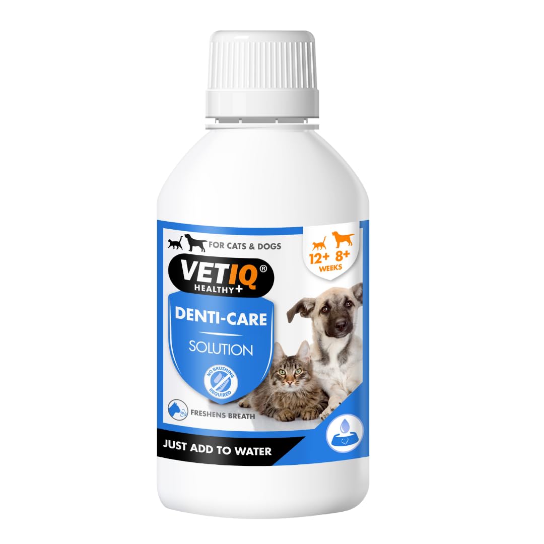 Vetiq Denti Care Diş Bakım Solusyonu 250 Ml